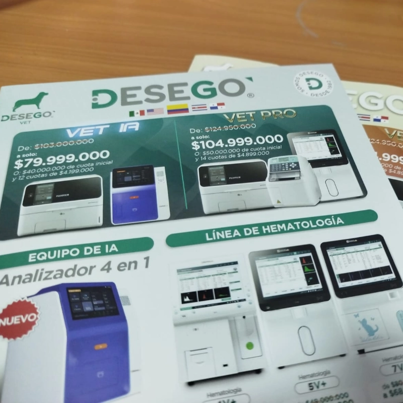 Flyers personalizados impresos con catálogo de productos para Desego Bogotá